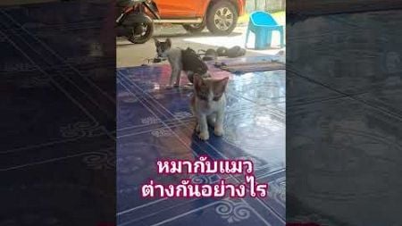 #funny #ลิปซิงค์เพื่อความบันเทิง #funnyshorts #คนตื่นธรรม