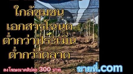 #ขายที่ดิน ใกล้ชุมชน#ราคาถูก กว่าตลาด,ประเมิน#ที่ดิน #ปทุมธานี #ที่ดินปทุมธานี