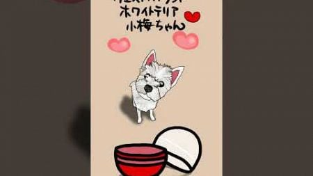 【可愛いアニメーションガチャ】犬？猫？それとも？【ペット好きさんにおすすめ】Lovely Pet gacha capsule toy #shorts