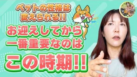 【ペットの性格は変えられる!!】お迎えしてから一番重要なのは、この時期!!