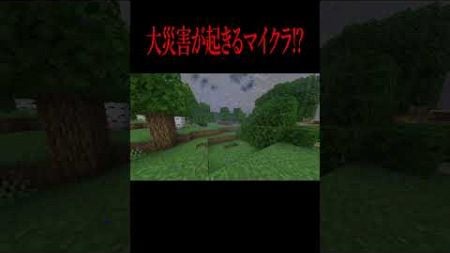 巨大な『竜巻』に巻き込まれる！？【 マインクラフト ・ マイクラ 】#shorts