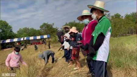 โครงการเกี่ยวข้าวประจำปี 2564 วิทยาลัยเทคโนโลยีอีสานเหนือ จ.อุดรธานี