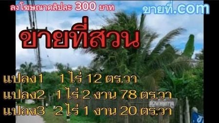 #ขายสวนผลไม้ ผสม #ที่ดินสวนเกษตร #ที่ดิน ลำปาง#ขายที่ดิน #ซื้อที่ดิน