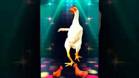 Chicken Dance 🐔😂 (Remix) #rooster #chicken #song