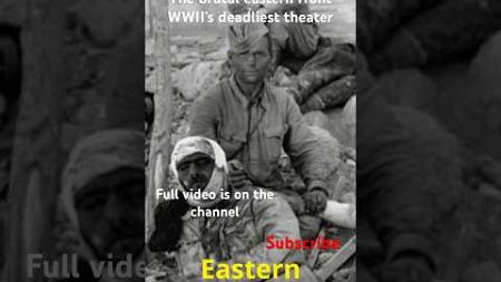 The brutal eastern front WWII’s deadliest theater #history #historyfacts #historicalfacts #ww2 #ww1