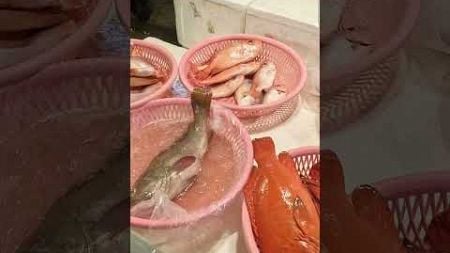 Amazing seafood auction, crazy price, 海鮮魚貨拍賣 坎仔頂 基隆魚市場 seafood fishmarket auction