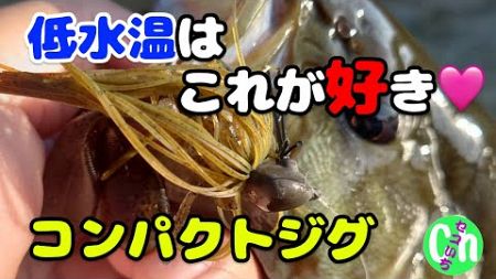 【ラバージグ】低水温で食い気の落ちた環境でも使えば釣れます‼️【ダイワ】【川スモール】【Black bass】【秋冬】【11月】【12月】