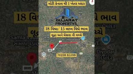 land for sale | land | real estate | gujarat | banaskantha #realestateagents #realestatebrokers