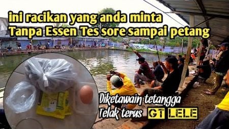 Telak, Sampai diketawain tetangga! Umpan lele tanpa Essen, mancing galatama