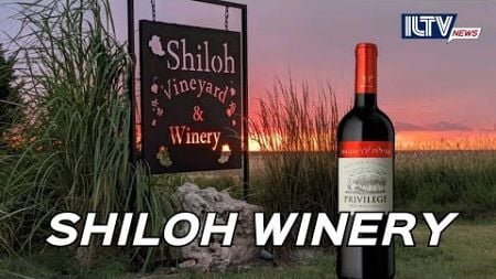 Israel’s Shiloh Winery: Mastering The Art of Winemaking