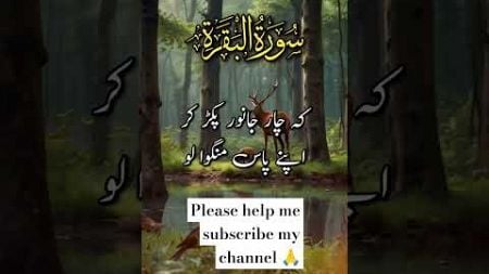 Islamic post 🤲#shorts #ytshorts #yotubeshorts #viralshorts #islamcmessage #as search blogging