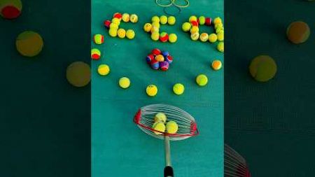 EasyRoll: Fast and Efficient Tennis Ball Collector #smalleyes #smallball #tennisball #ballcheck