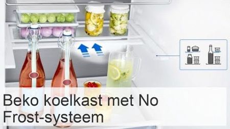 Beko No Frost koelkast: modellen met twee compartimenten, beoordelingen