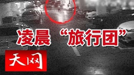 《天网》小心你的汽车“三元催化器”！嫌疑人团伙作案 深夜盗窃多辆汽车“三元催化器”被捕！20241028