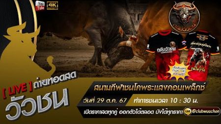 🛑 #ถ่ายทอดสดวัวชนวันนี้ #สนามกีฬาชนโคพระเเสงคอมเพล็กซ์ วันที่ 29 ตุลาคม 2567 #ดูวัวชนสด #วัวชนวันนี้