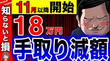 【11月から】手取り18万円減！！法改正で天引きの税金が衝撃の結果に！【社会保険/厚生年金/強制加入】