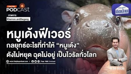 กลยุทธ์การตลาดสุดเจ๋ง หมูเด้งฟีเวอร์ | เศรษฐกิจติดบ้าน