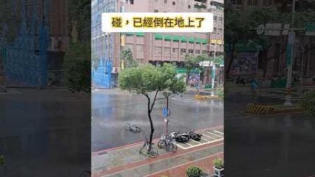 颱風一吹，碰的一聲，摩托車已經倒在地上了！When I heard a crash, the motorcycle had been fallen! #shorts #typhoon #颱風