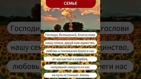 За благополучие В СЕМЬЕ