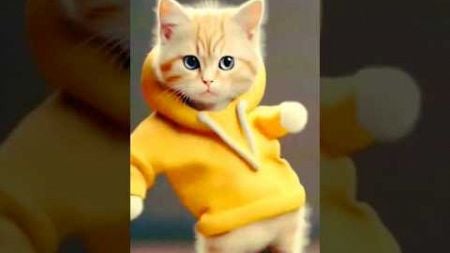 Super cat dance 🥰 #cute #cat #catlover #funny #short #shorts #shortvideo #yt #ytshort #ytshorts