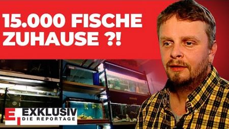 15.000 Fische als Haustiere! - Der Fischwahn nimmt kein Ende | EXKLUSIV - DIE REPORTAGE