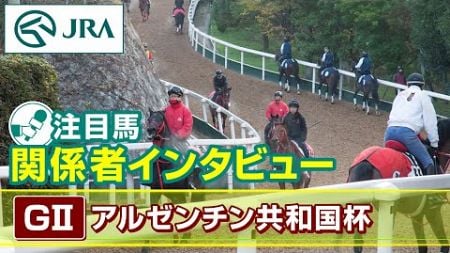 【注目馬 関係者インタビュー】2024年 アルゼンチン共和国杯｜JRA公式