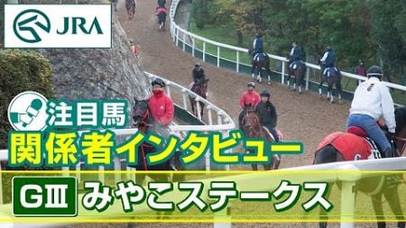 【注目馬 関係者インタビュー】2024年 みやこステークス｜JRA公式