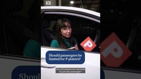 Should P-platers&#39; passenger numbers be restricted? | ABC News