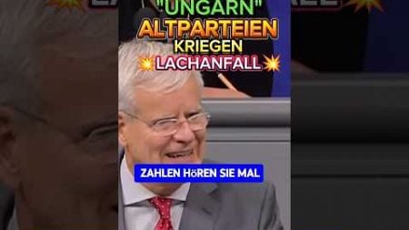 💥KINDERGARTEN Ampel lacht AFD AUS💥 #afd #politik #ampel #weidel #spd #scholz #bärbock #bundestag