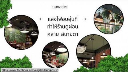 นำเสนองาน ร้านอาคาร กรณีศึกษา อเมซอล