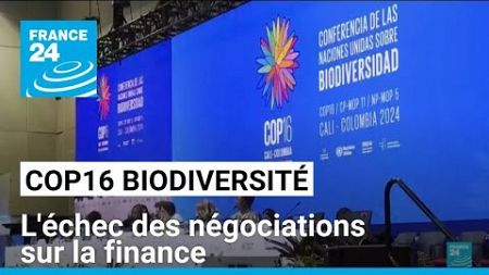 COP16 biodiversité à Cali : l&#39;échec des négociations sur la finance • FRANCE 24