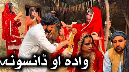 Wada Ao DanSona // Khpala Weena Drama Episode 53 By Charsadda Vines Director SadiqKhan 2024 #trendin