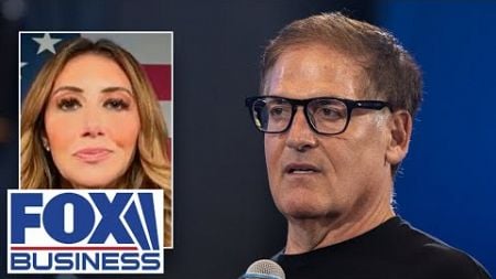 Alina Habba responds to Mark Cuban&#39;s smear: I can probably whoop you in court