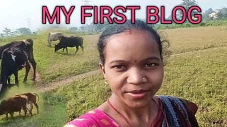 MY First blog//ମର ପ୍ରଥମ ଭିଡିଓ//delay blog kabita priya naik