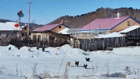 缓岭林场环境好，离伊春市里近，是过田园生活好地方，去转一转