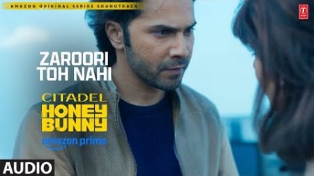 Zaroori Toh Nahi (Audio): Varun D, Samantha | Citadel Honey Bunny | Kinjal Chatterjee, Aman P, Akhil