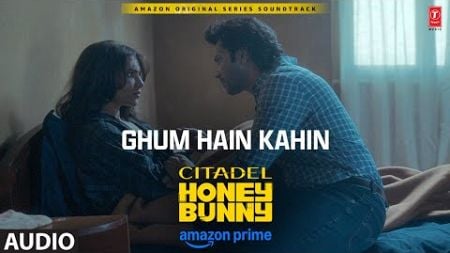 Ghum Hain Kahin (Audio): Varun Dhawan, Samantha | Citadel Honey Bunny | Papon, Aman P | Ramil, Akhil