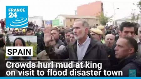 Crowds hurl mud at Spanish king on visit to flood disaster town • FRANCE 24 English