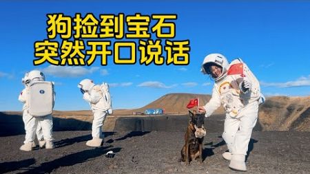 鐵牛旅行記570集/狗子在烏蘭火山撿到寶石突然開口說話，吸引很多小姐姐過來合影拍照#環遊中國 #狗是人类最忠诚的朋友