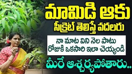 మామిడి ఆకు సీక్రెట్ తెలిస్తే వదలరు | Health Benefits of Mango Leafs in Telugu | Arunayoga | iDream