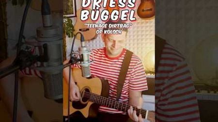 Teenage Dirtbag&quot; op Kölsch? 🤔 #köln #sänger #music #acousticcover #akustik #acousticguitar #kölsch