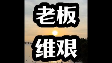 为什么没人愿意创业了？ #商业思维 #创业 #创业认知 #现实社会