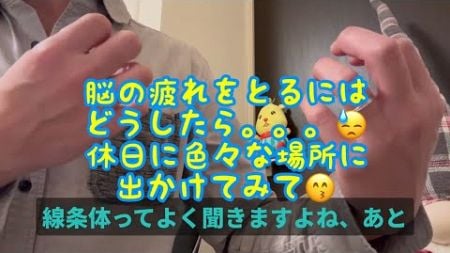 幸福度を上げて仕事の生産性を上げるテクニック🧐③それは日常生活に隠れていた🙄❓