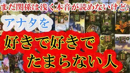 【恋愛占い】まだ関係は浅く本音が読めないけど、あなたを好きで好きでたまらなくなる人！苗字のイニシャル、特徴、本音気持ち、今の距離感やアドバイス！【怖いほど的中!?】グランタブロー 恋愛占い