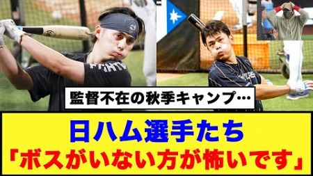 【アップデート中】監督不在の秋季キャンプ…日ハム選手たちは「ボスがいない方が怖いです」