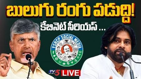 Breaking : బులుగు రంగు పడుద్ది! | AP Cabinet Serious on YSRCP Social Media | CM Chandrababu | TV5