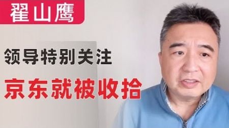 翟山鹰：闲聊｜领导说京东给中国企业家群体抹黑，所以就被收拾了｜国外生活肉便宜，菜贵