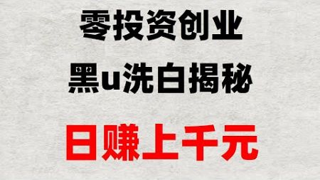 ,搬砖跑腿是怎么赚钱的？灰色项目|usdt灰色搬砖项目教程#最新网赚 #网赚##網路創業,#测试赚钱|#黑usdt靠谱吗|#黑usdt是真的吗 #USDT搬砖赚钱,#如何在网上赚钱