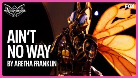 Wasp CAPTIVATES With &quot;Ain’t No Way&quot; By Aretha Franklin ✨ | Season 12