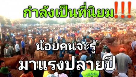 กำลังเป็นที่นิยม!!!...น้อยคนจะรู้..มาแรงปลายปี